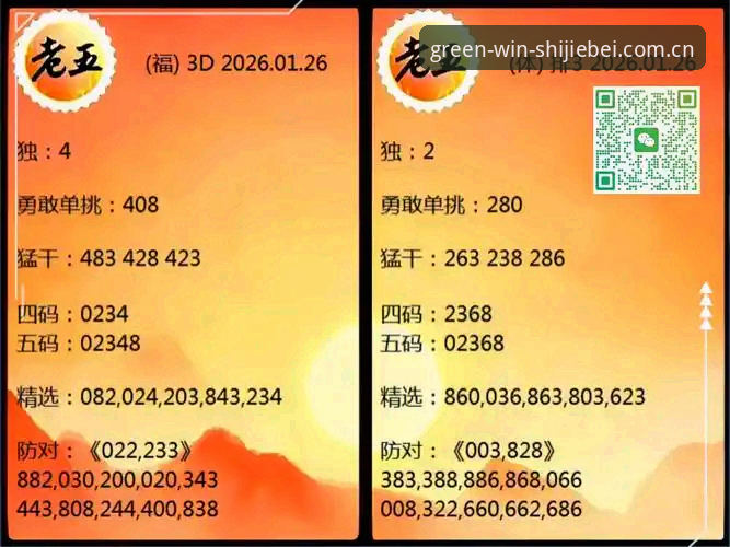 揭秘世界杯网投官网：专业投注平台背后的数据逻辑与实战策略